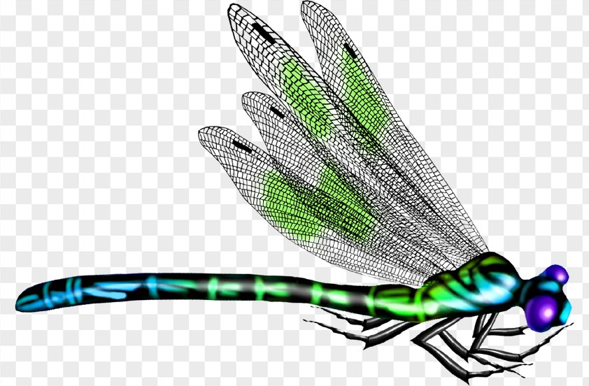 Green Dragonfly PNG