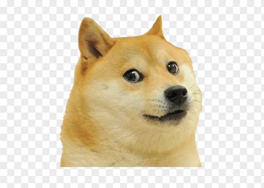 Shiba Inu Dogecoin PNG