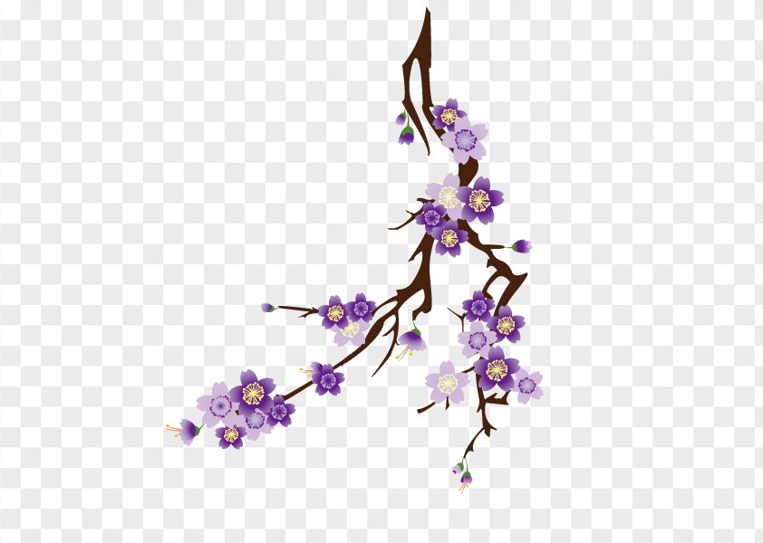 Cherry Blossoms,Pattern,Lavender PNG