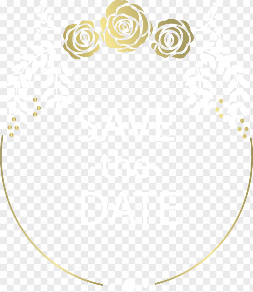 Gold Border PNG