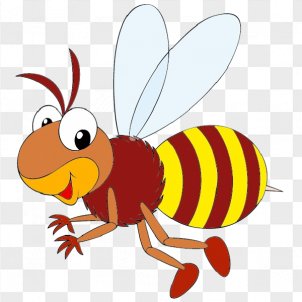 Honey Bee PNG Images, Transparent Honey Bee Images