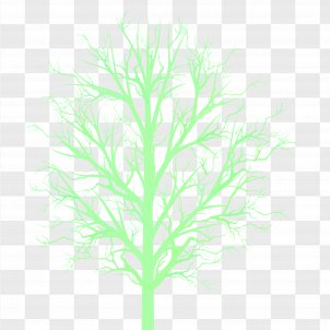 Tree Branch PNG Images, Transparent Tree Branch Images