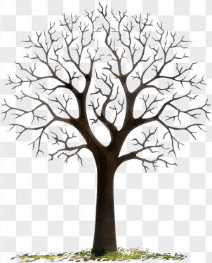 Tree Branch PNG Images, Transparent Tree Branch Images