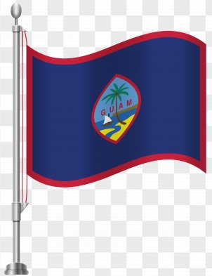Flag and flagpole austin 