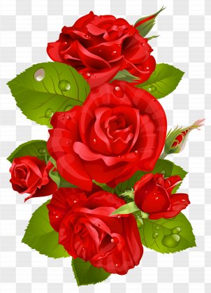 Red Rose Bouquet Png Images Transparent Red Rose Bouquet Images