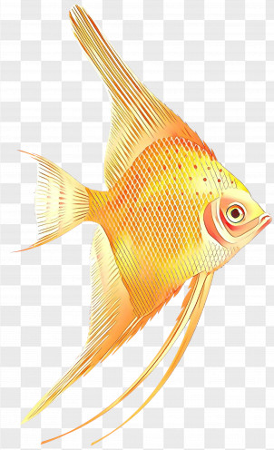 Fish PNG Images, Transparent Fish Images