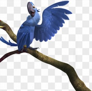 Rio 2 Png Images Transparent Rio 2 Images