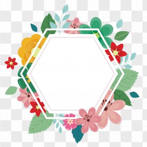 Hexagonal Vector PNG